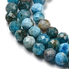 Natural Apatite Beads Strands G-K185-02-4MM-01-6