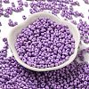 Baking Paint Glass Seed Beads SEED-K009-01A-11-2