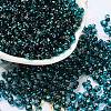 Glass Seed Beads SEED-L011-02A-06-1
