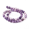 Natural Lepidolite/Purple Mica Stone Beads Strands G-K415-10mm-7