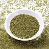 MIYUKI Delica Beads SEED-MY11-DB2164-2
