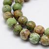 Natural Green Opal Beads Strands G-K209-05A-10mm-3