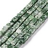 Natural Green Spot Jasper Beads Strands G-F631-K18-1