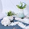 Polyester Lace Trim Ribbon OCOR-CY0001-74C-3