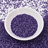 MIYUKI Delica Beads SEED-X0054-DB1810-2
