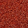 MIYUKI Delica Beads SEED-X0054-DB2158-3