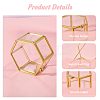 Glass Jewelry Presentation Boxes with Golden Tone Metal Frame CON-WH0133-014-4