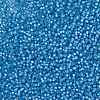 MIYUKI Round Rocailles Beads SEED-G007-RR0573-4
