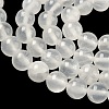 Natural Selenite Beads Strands G-N328-025B-01-3