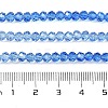Transparent Painted Glass Beads Strands X1-DGLA-A034-T3mm-A01-3