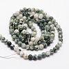 Natural Tree Agate Beads Strands G-N0192-01-3mm-2