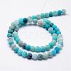 Frosted Natural Agate Beads Strands G-F365-8mm-03-2