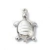 Anti-Tarnish 304 Stainless Steel Pendants STAS-L022-440P-01-1