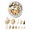 12 Styles Natural Mixed Shell Beads SSHEL-YW0001-05-1
