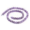 Natural Gemstone Beads Strands G-S036-8