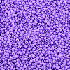 13/0 Glass Seed Beads SEED-T005-14A-A17-3