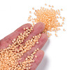 8/0 Transparent Inside Colours Glass Seed Beads SEED-R051-09B-02-4