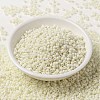 MIYUKI Round Rocailles Beads SEED-X0055-RR2021-2