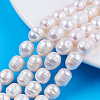 Natural Cultured Freshwater Pearl Beads Strands X-PEAR-N012-09B-5