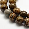 Natural Dendritic Jasper Beads Strands G-E382-07-6mm-1