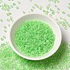 12/0 Transparent Glass Seed Beads SEED-F003-03C-13-2