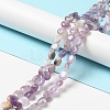 Natural Amethyst Beads Strands G-P489-05-2