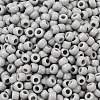 TOHO 6/0 Round Beads SEED-XTR06-0053-3