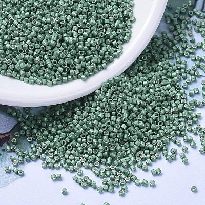MIYUKI Delica Beads SEED-X0054-DB1171-1