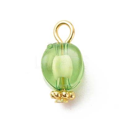 Transparent Acrylic Pendants PALLOY-JF01834-01-1