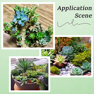 PVC Artificial Succulent Plant AJEW-SP0004-35A-1