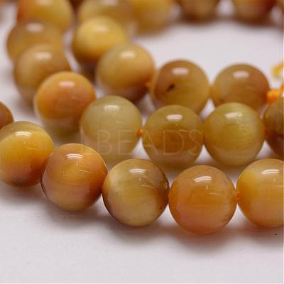Natural Tiger Eye Bead Strands G-P230-08-E-8mm-1