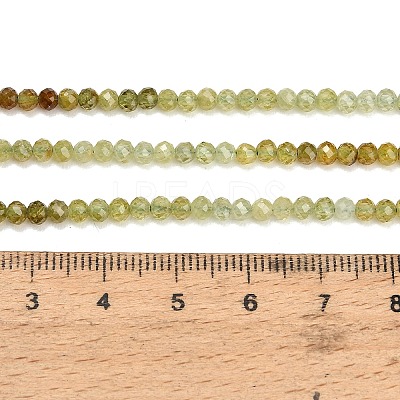 Natural Green Garnet Beads Strands GG-CBA77FB-B11-3mm-1