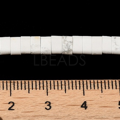 Synthetic Howlite Beads Strands G-Z045-A25-01-1