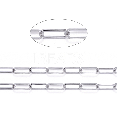 Non-Tarnish 3.28 Feet 304 Stainless Steel Paperclip Chains X-CHS-F011-01A--P-1