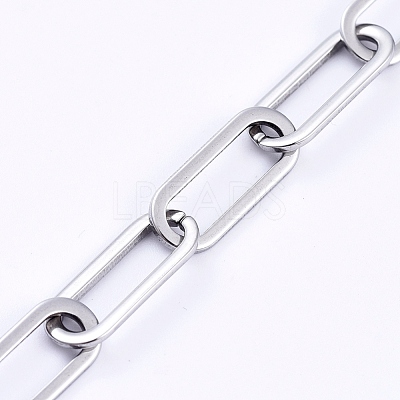 Non-Tarnish 3.28 Feet 304 Stainless Steel Paperclip Chains X-CHS-D031-03P-1