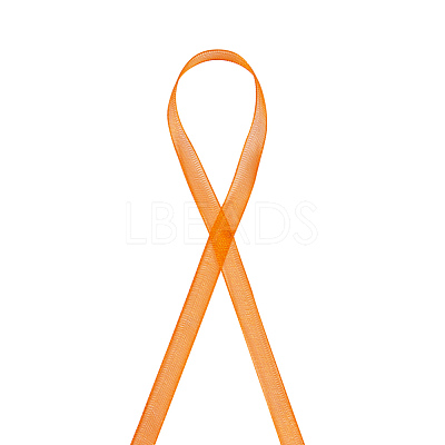 Organza Ribbon RS6mmY024-1