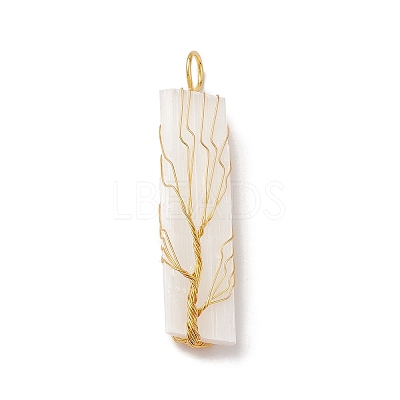 Copper Wire Wrapped Natural Selenite Big Pendants KK-E086-01G-1