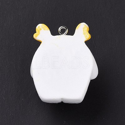 Opaque Resin Pendants RESI-D063-05A-1