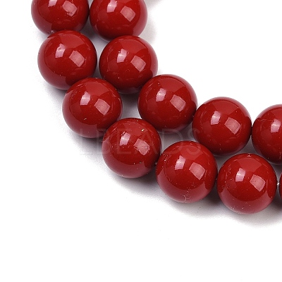 Shell Pearl Beads Strands X-BSHE-K015-14mm-01-1