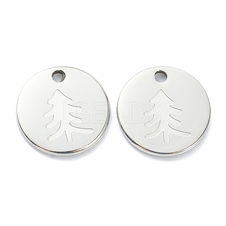 Non-Tarnish 304 Stainless Steel Charms LS-STAS-P280-13P-1