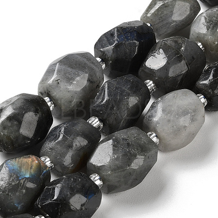 Natural Labradorite Beads Strands G-C105-A02-01-1