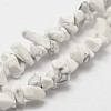 Natural Howlite Beads Strand X-G-F328-05-3