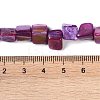 Dyed Natural Freshwater Shell Beads Strands X-SHEL-P016-01D-4