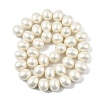 Oval Shell Pearl Beads Strands BSHE-XCP0001-21-2