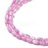 Natural Trochus Shell Beads Strands SHEL-K006-19A-3