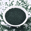 MIYUKI Round Rocailles Beads X-SEED-G007-RR0156F-2