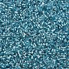 Glass Bugle Beads SEED-S032-08A-23-3