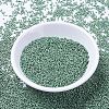 MIYUKI Delica Beads SEED-MY11-DB1171-2