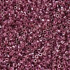 MIYUKI Delica Beads X-SEED-J020-DB0283-3