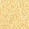 MIYUKI Round Rocailles Beads SEED-G009-RR3325-1